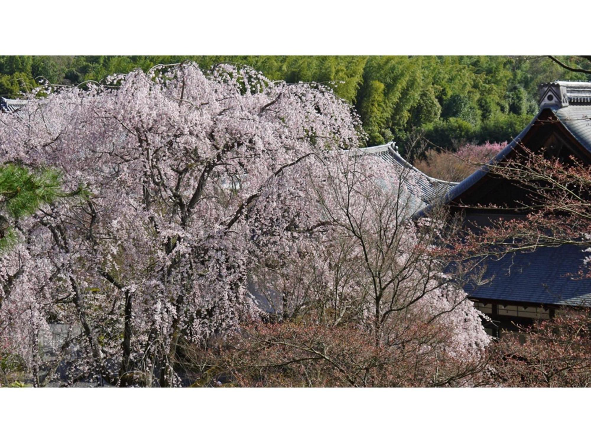 River Side Arashiyama - Vacation Stay 86277V Kyoto Exterior photo